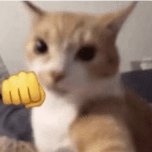 Memes de gato | cat 🐈 4