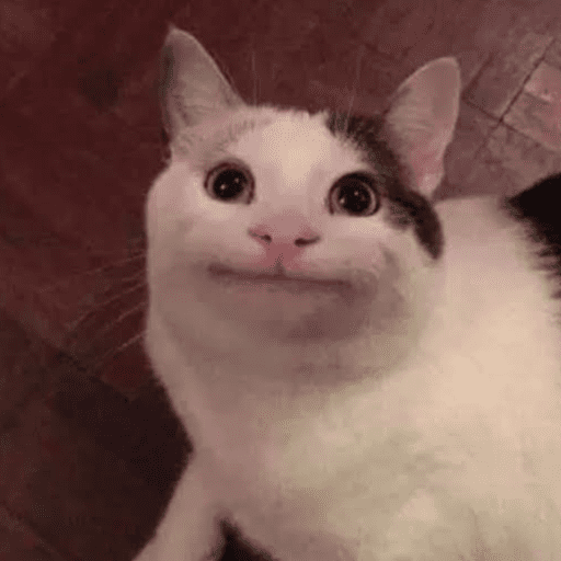 Memes de gato | cat 🐈 6