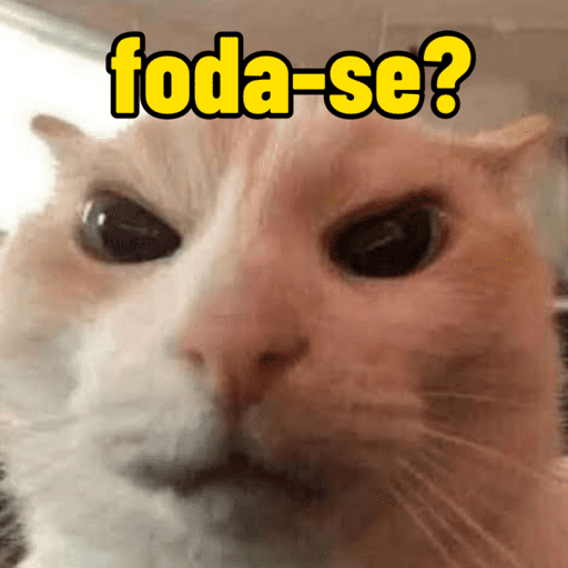 Memes de gato | cat 🐈 5