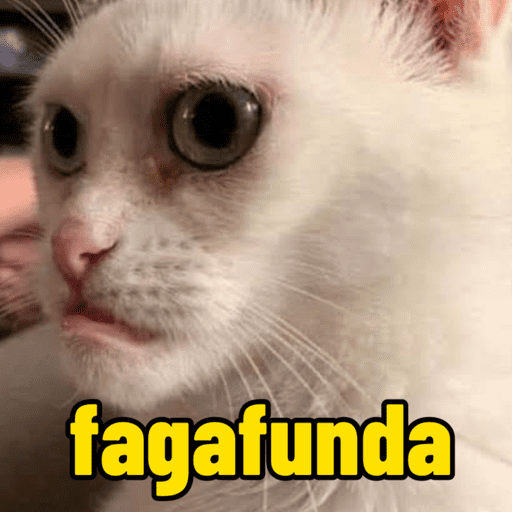 Memes de gato | cat 🐈