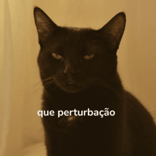 Memes variados ✨ 13