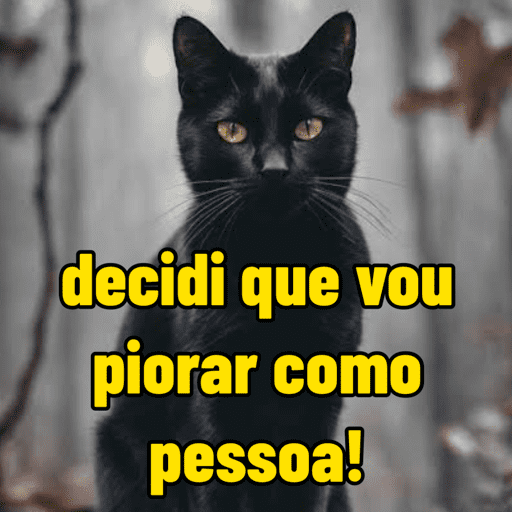 Memes variados  6