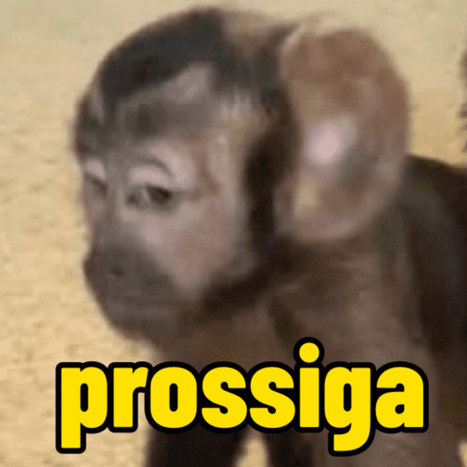 Macaco | macaquinho | mono  5