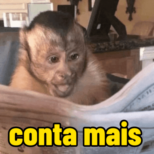 Macaco | macaquinho | mono  11