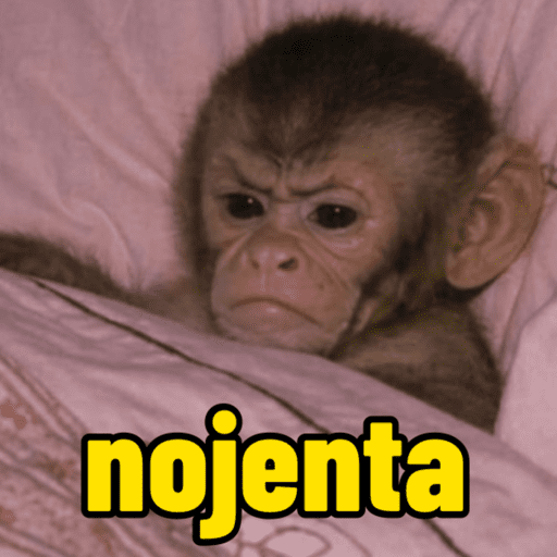 Macaco | macaquinho | mono  3