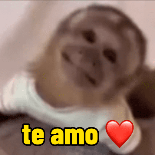 Macaco | macaquinho | mono  15