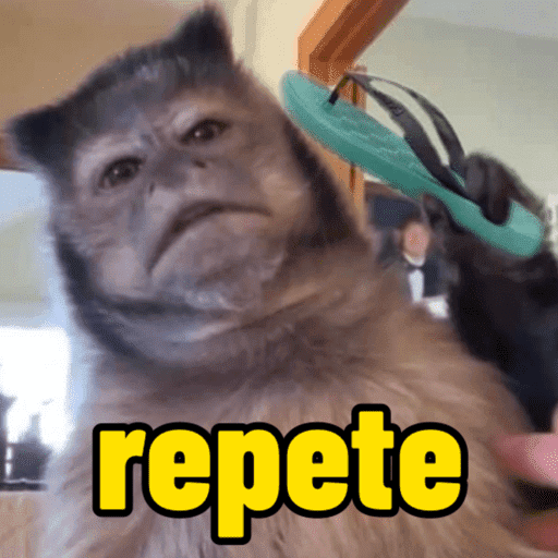 Macaco | macaquinho | mono  9
