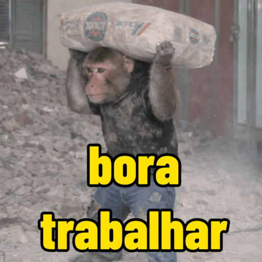 Macaco | macaquinho | mono  13