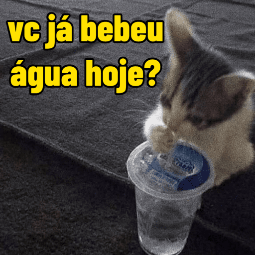 Memes variados ✨ 11