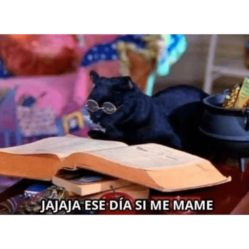 Xdxdxd 5