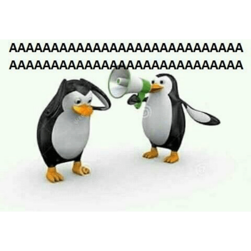 Xdxdxd 24