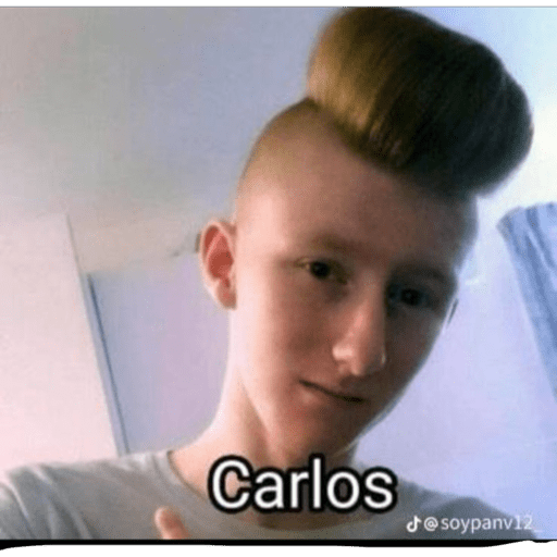 Memes papulinses 13