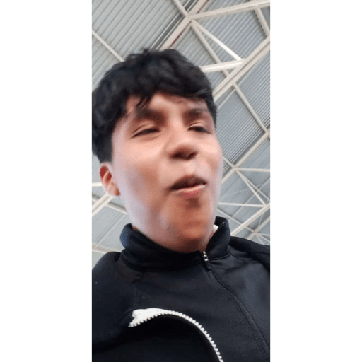 Memes papulinses 5
