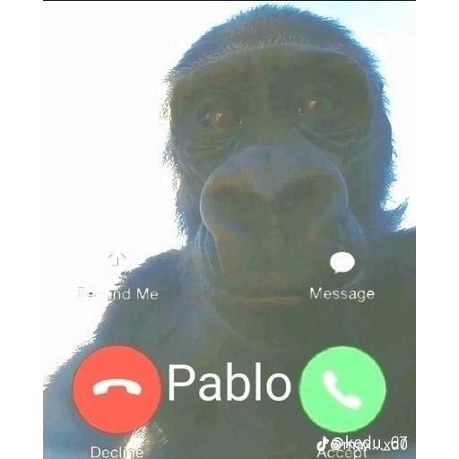 Memes papulinses 3