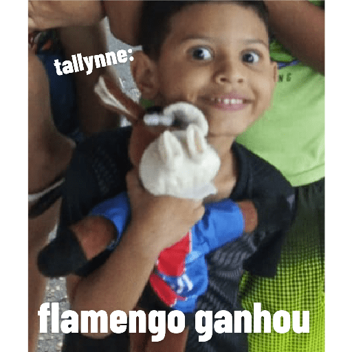 Fotos engraçadas 4