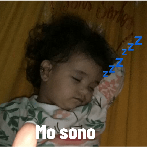 Fotos engraçadas 7