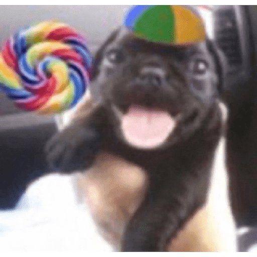 Jacintopinto3 9