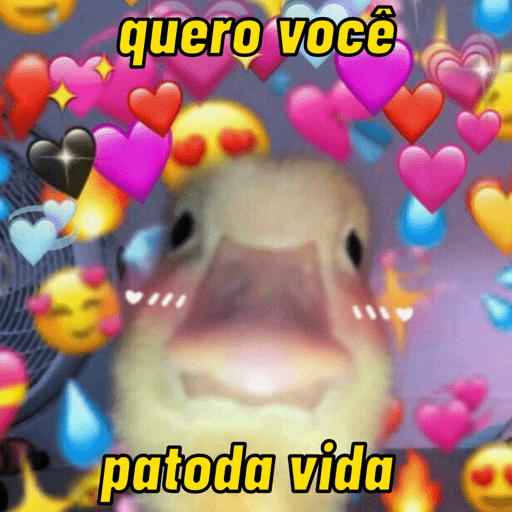 Boiolinha por você 😍❤️ 10