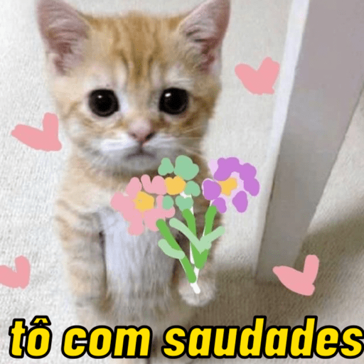 Boiolinha por você 😍❤️ 5