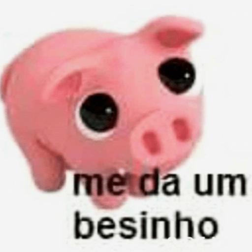 Boiolinha por você 😍❤️ 4
