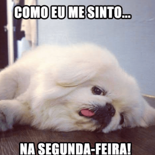 Segundou 4