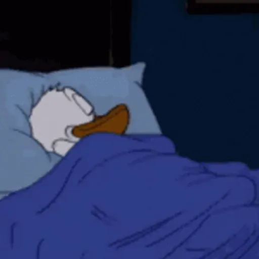 Pato Donald 6