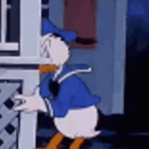 Pato Donald 13