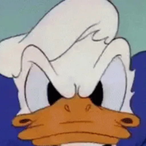 Pato Donald 16