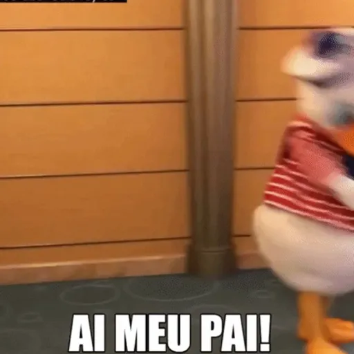 Pato Donald 5