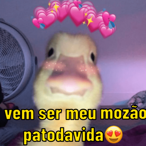Para os apaixonados 💕💕 2