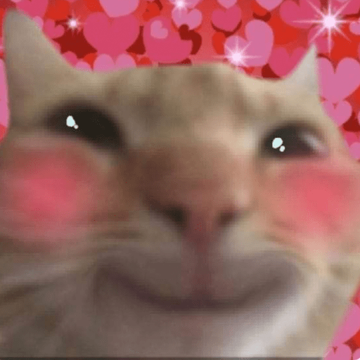 Para os apaixonados 💕💕 15
