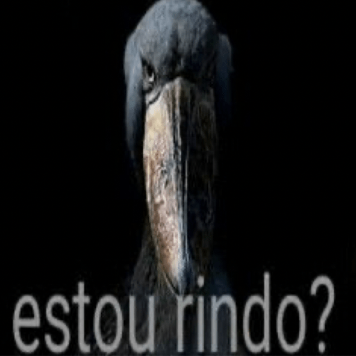 Memes zoados  5