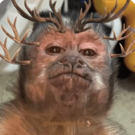 Memes macaquinhos 4