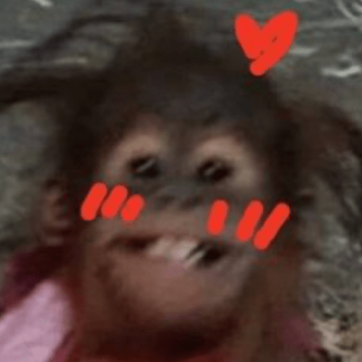 Memes macaquinhos 16
