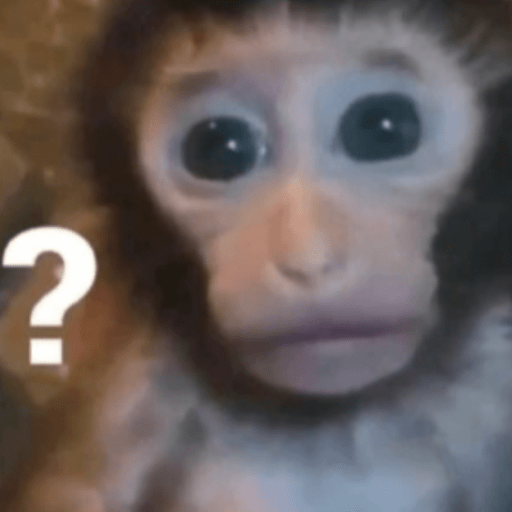 Memes macaquinhos 15