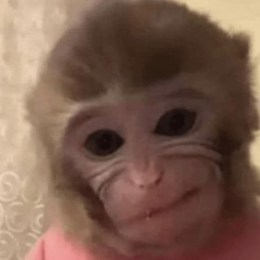 Memes macaquinhos 11