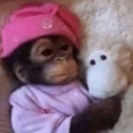 Memes macaquinhos 3