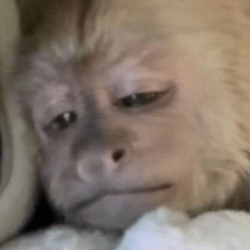 Memes macaquinhos 5