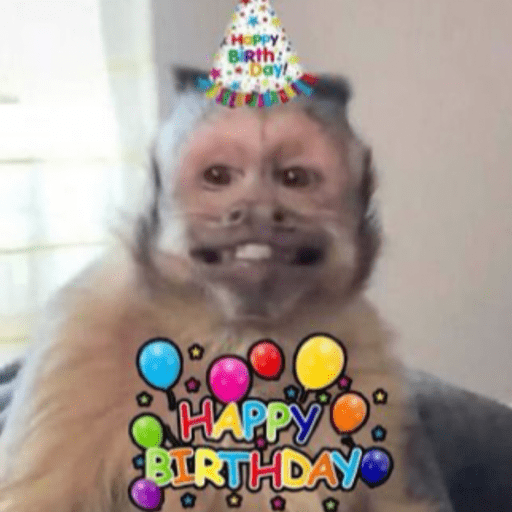 Memes macaquinhos 7