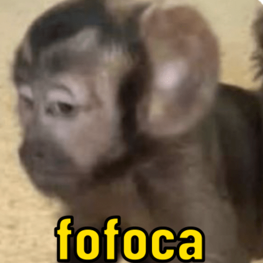 Memes macaquinhos 14