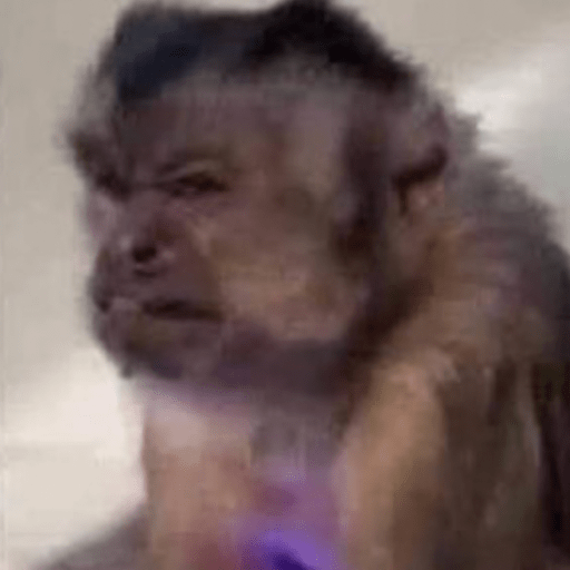 Memes macaquinhos 8