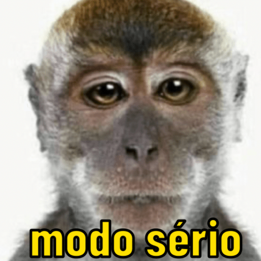 Memes macaquinhos 9