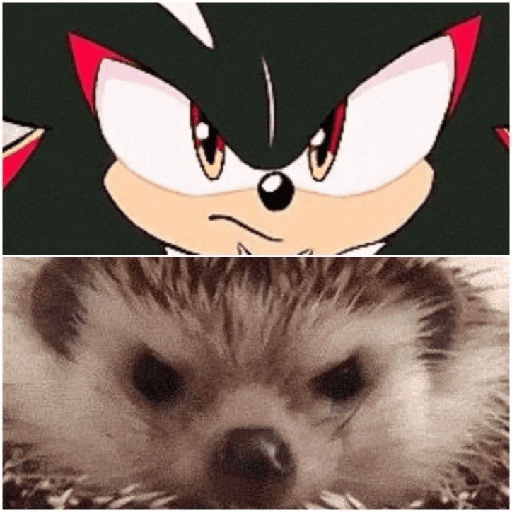 Momos xd 3