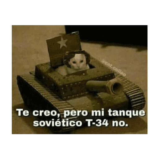 Momos xd 10