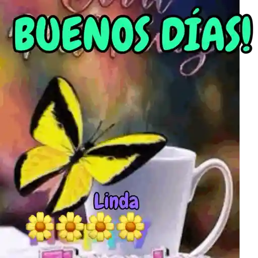 Axy Linda 3 23