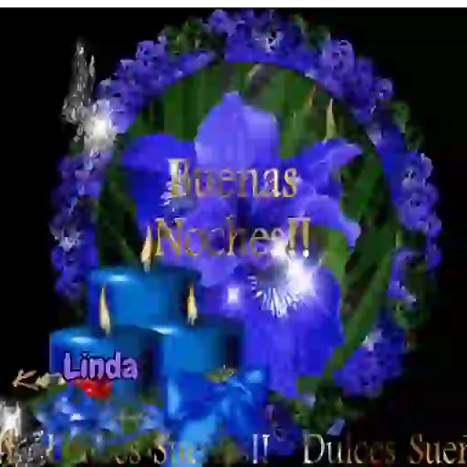 Axy Linda 3 24