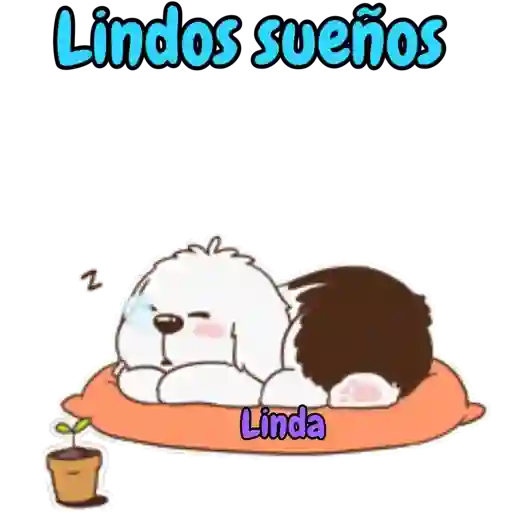 Axy Linda 3 16
