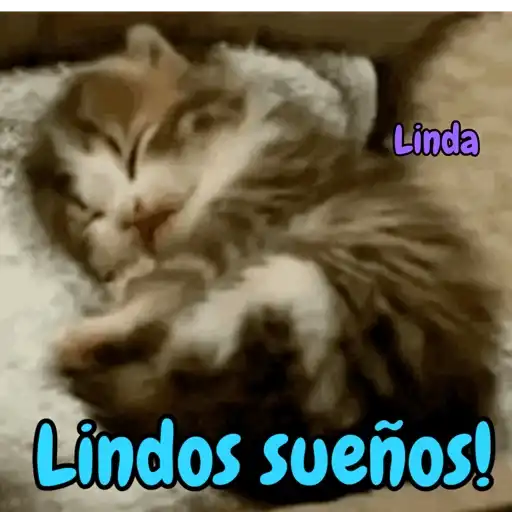 Axy Linda 16