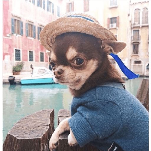 Sticker Image
