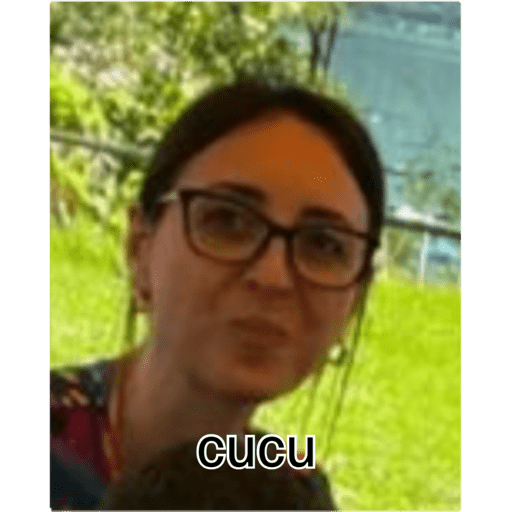 I miei adesivi